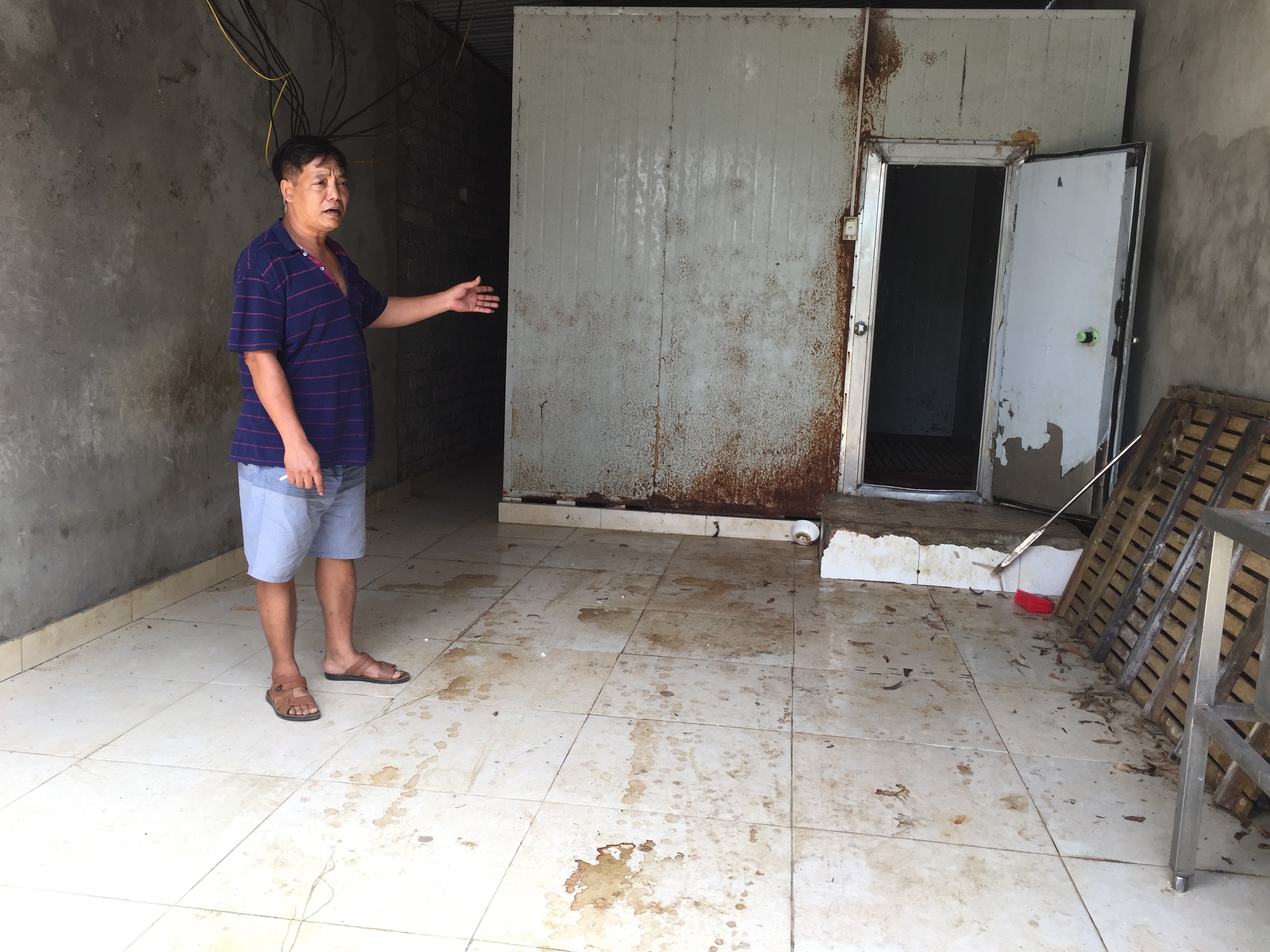 Thông tin từ đường dây nóng